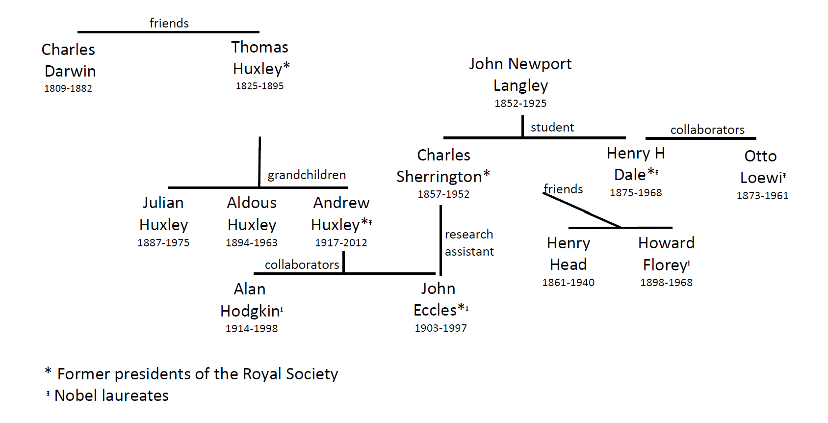 The century old scientific network – Julia Licholai